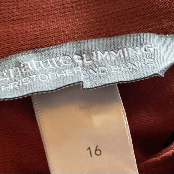 Christopher and Banks -the PERFECT Jean-  Ankle -Shaped Fit - Mid-Rise - Size 12 - Picture 4 of 7